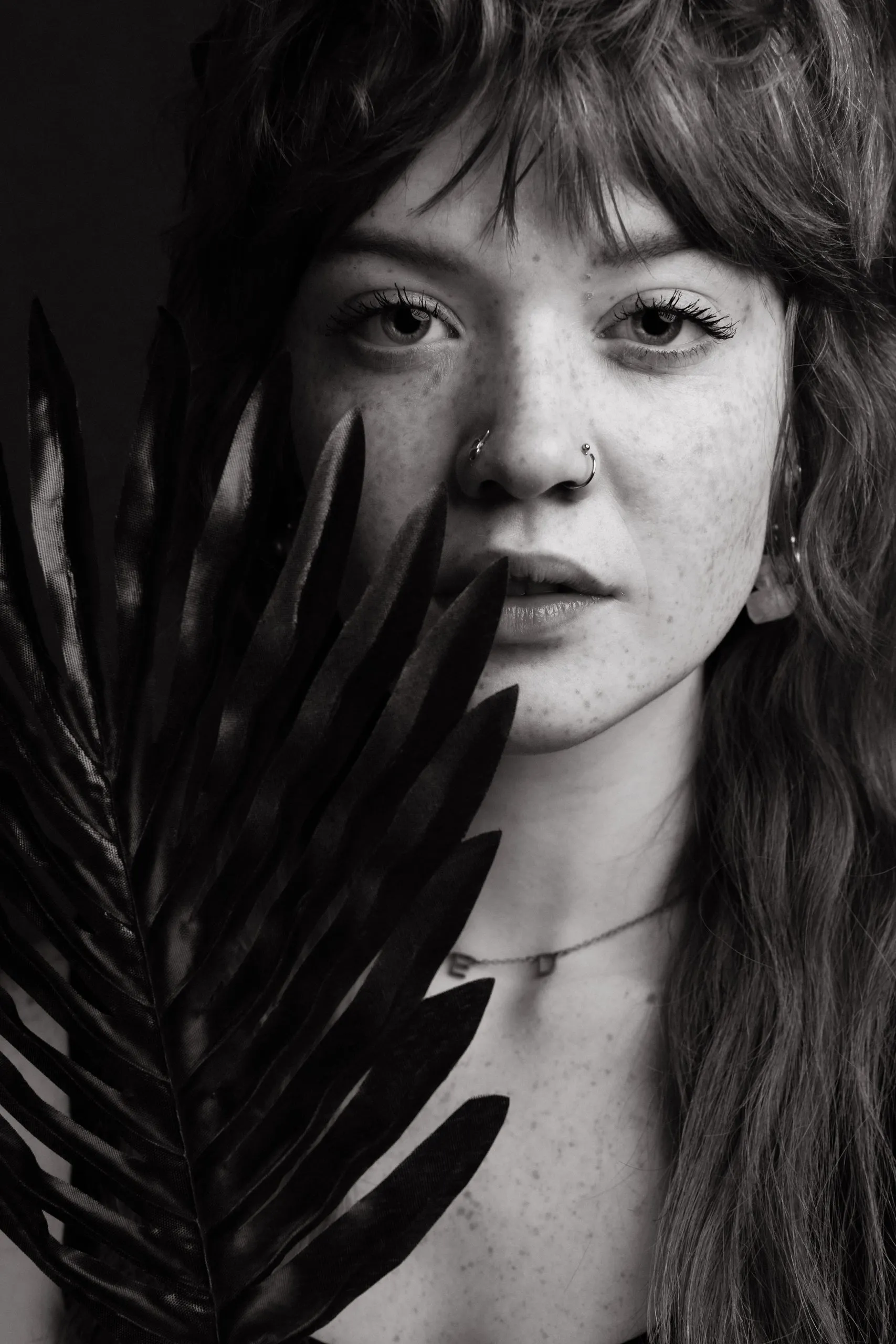 Black & White — image 2