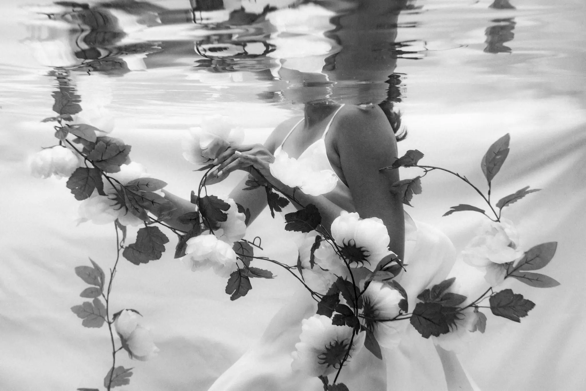Black-and-white floral reflection beneath the surface